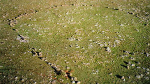 nass_news_2011_march_aboriginal_sundial