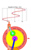 16 Image small