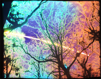 2013 Solargraphy